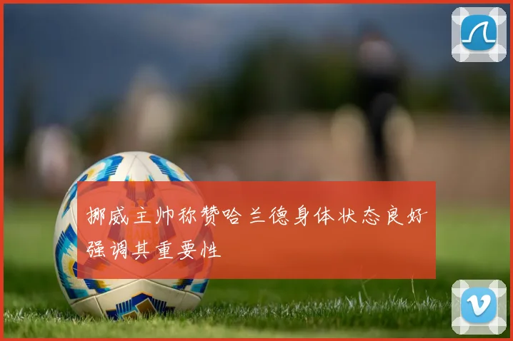 挪威主帅称赞哈兰德身体状态良好强调其重要性