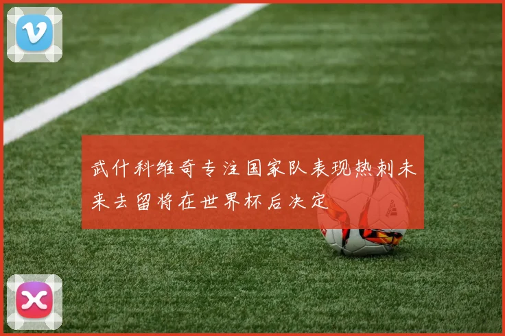武什科维奇专注国家队表现热刺未来去留将在世界杯后决定