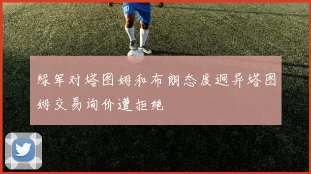 绿军对塔图姆和布朗态度迥异塔图姆交易询价遭拒绝