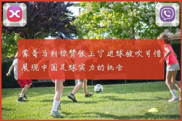 蒙哥马利称赞张玉宁进球被吹可惜展现中国足球实力的机会